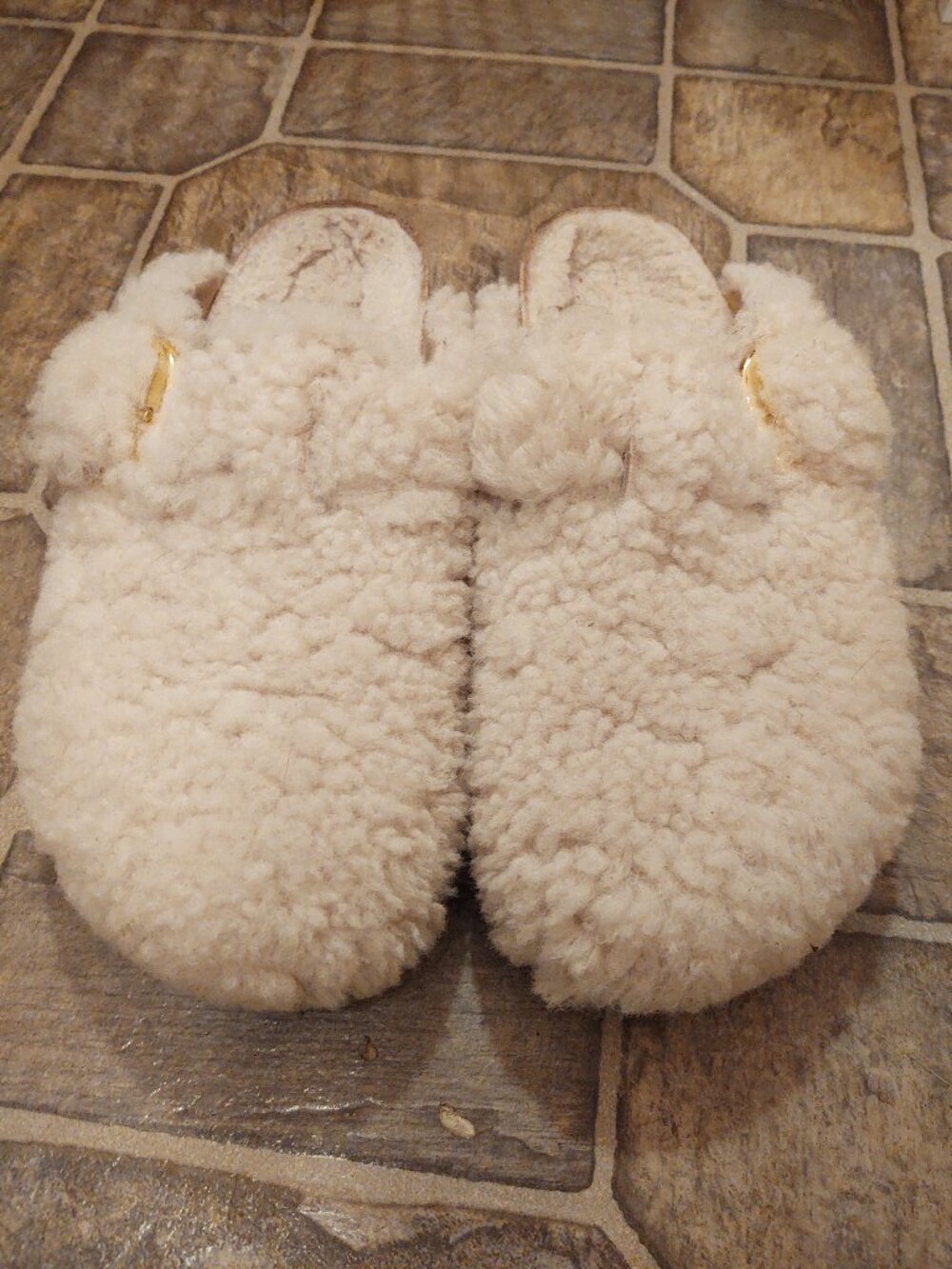 Teddy Birkenstock